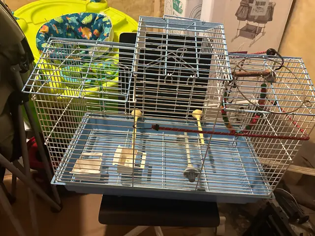 Large Bird Cage – Clean & Spacious in Other in Ottawa - Image 3