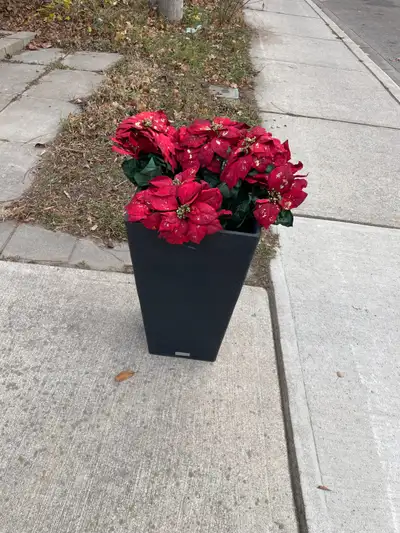 Veradek Outdoor/Indoor Planter Box, View more