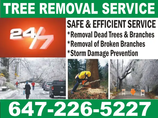 ***Tree Trimming & Yard Clean-up  - Phone/Text: 647-226-5227***62864740381953122