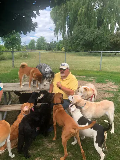 A pooped dog is a happy dog. Serving Etobicoke and Mississauga, View more