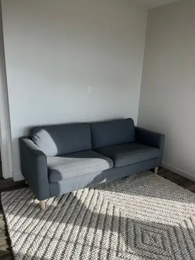 IKEA PÄRUP Pet-Free Smoke Free Comfy Sofa, View more