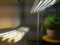Greenhouse grow lamps
