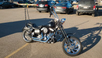 2009 Harley Davidson Dyna Street Bob