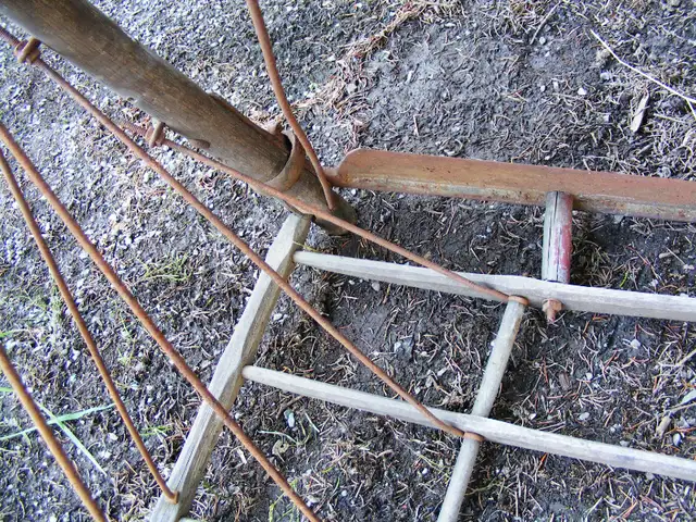Antique Corn cradle Scythe - Mid 1800's in Arts & Collectibles in Saint John - Image 7