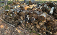 Firewood to give away 