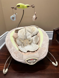 Baby Bouncy Chair