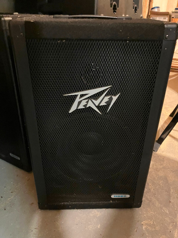 Peavey 12" Passive PA Speakers for sale in Pro Audio & Recording Equipment in Gatineau