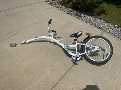 WeeRide Co-pilot bike, View more