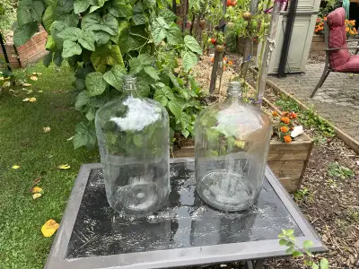 Tourie en verre, View more