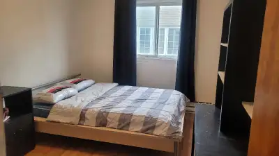 room for rent