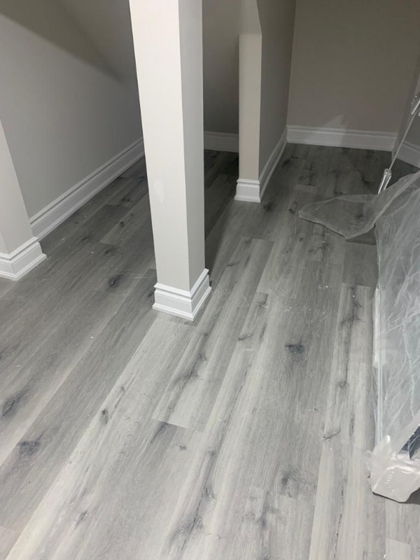 Brand new basement bachelor apartment with sep entrance Long Term