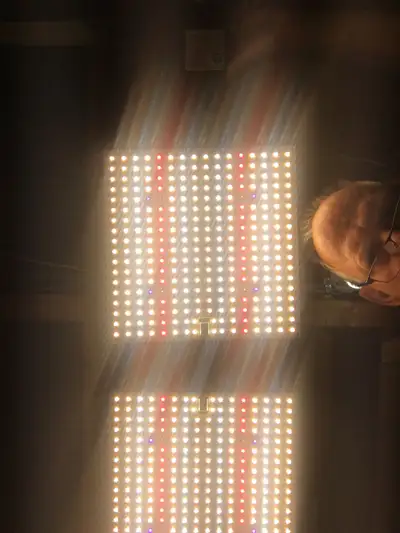 Lampe pour semis très performante prix est pour les deux lampes., View more