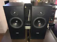 Rare Camber L77 Speakers (Rega), Pair, Made In Canada