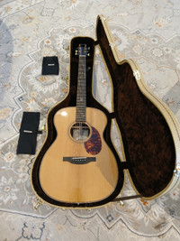 Boucher BG - 51 - G1 Acoustic Guitar