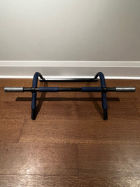 Mounted pull up bar rubberized blue handles