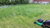 Broz Lawn Care& Basic Maintenance