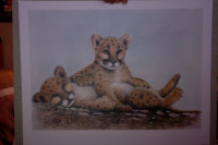 SUE COLEMAN LIMITED EDITION "CATFIGHT" (COUGAR KITTENS) w/ MAT