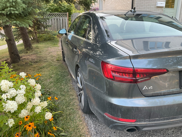 2017 Audi A4 120K Fully Loaded Technic trim Daytona Gray Pearl   in Cars & Trucks in London - Image 4