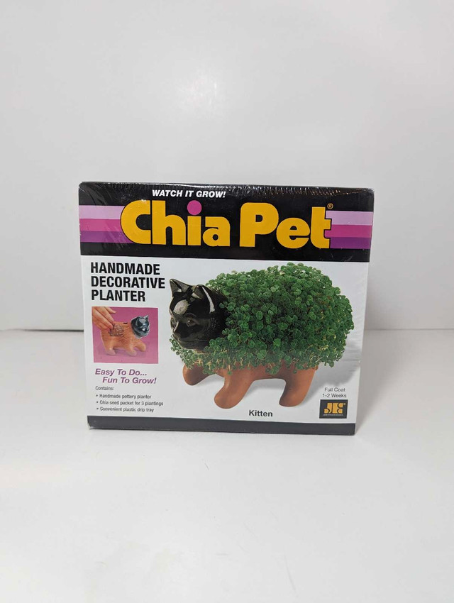 Brand new Kitten Chia Pet in Plants, Fertilizer & Soil in Brantford - Image 2