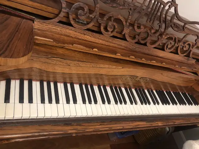 Chickering Grand Piano in Pianos & Keyboards in City of Montréal - Image 9