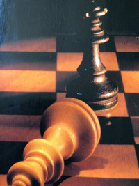 Chess lessons for beginners