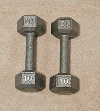 Cast Iron dumbells (10lbs / 20 lbs)