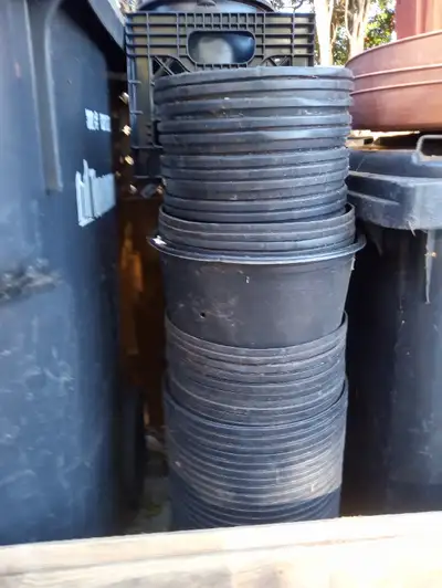 grow buckets planting, View more