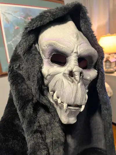 Skeletor Mask with Hood - Halloween, View more
