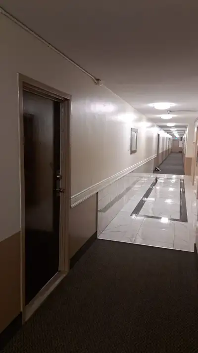 One room is available for rent in 3 bedroom apartment for any female or working professional the ren...