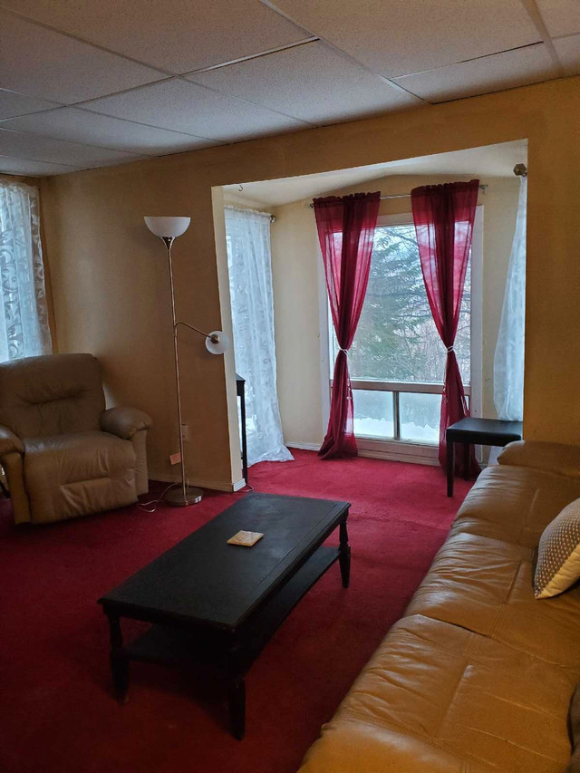 1 bedroom apartment. in Long Term Rentals in Corner Brook - Image 4
