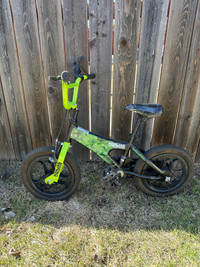 Kids TMNT Bike