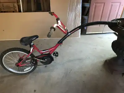 Tag along kids bike, View more