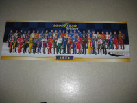 '2008'  Another Official... NASCAR Series, 2008 Drivers POSTER