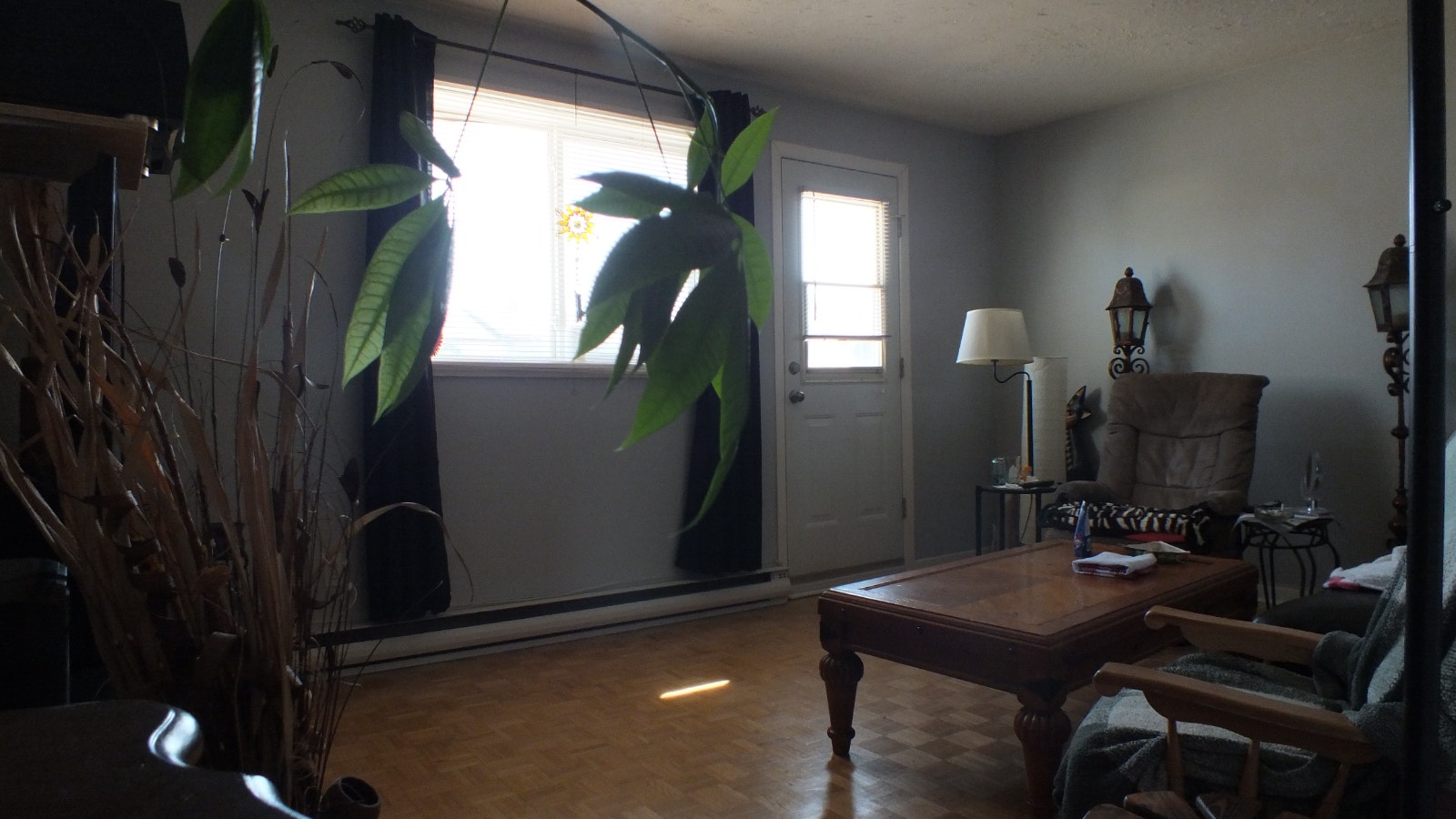 Joli appartement 5 1/2 à louer à Châteauguay — photo 2
