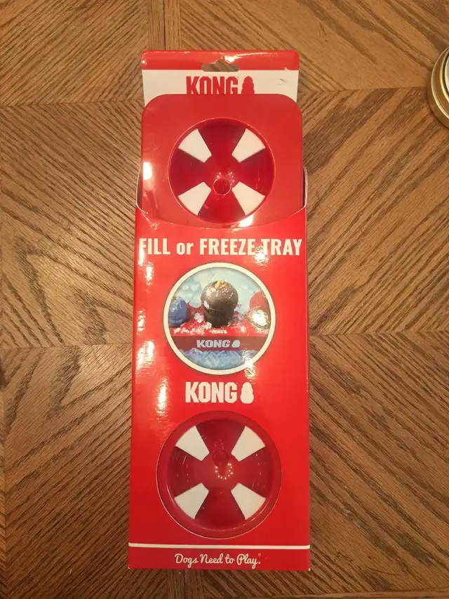 Kong fill or freeze tray in Small Animals for Rehoming in Ottawa - Image 2