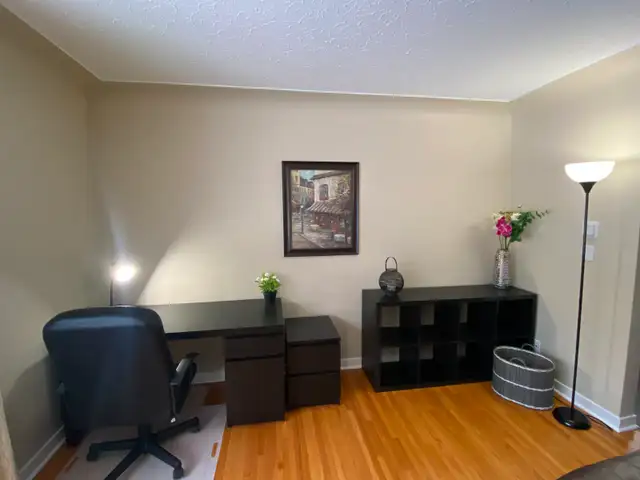 Photo 5