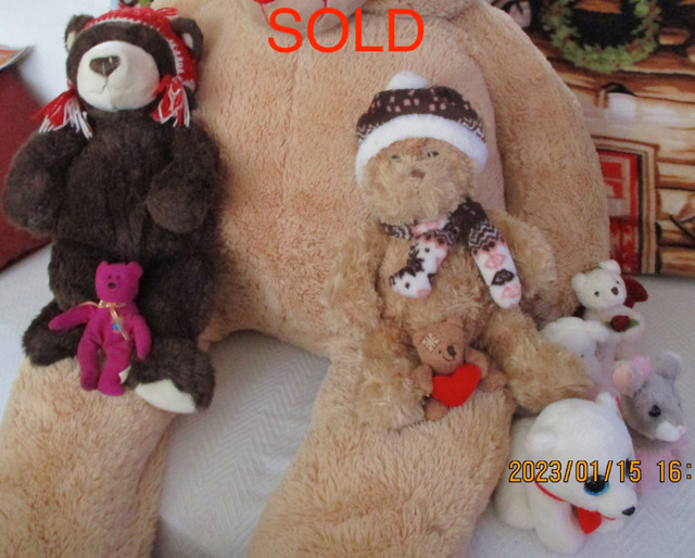 A Number of Various Sized Stuffed Animals in Toys & Games in Kingston - Image 4