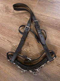 Lunging cavesson and side reins for sale 