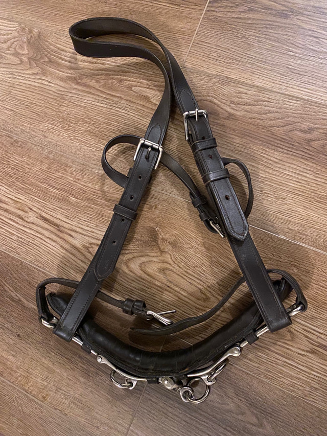 Lunging cavesson and side reins for sale  in Equestrian & Livestock Accessories in Penticton