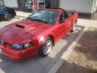mustang gt forsale