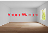 Room wanted