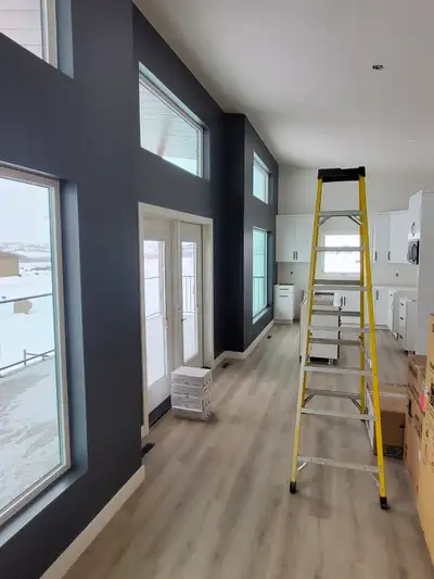 PLATINUM PRO PAINTING - 12 YEARS OF OPERATIONS, View more