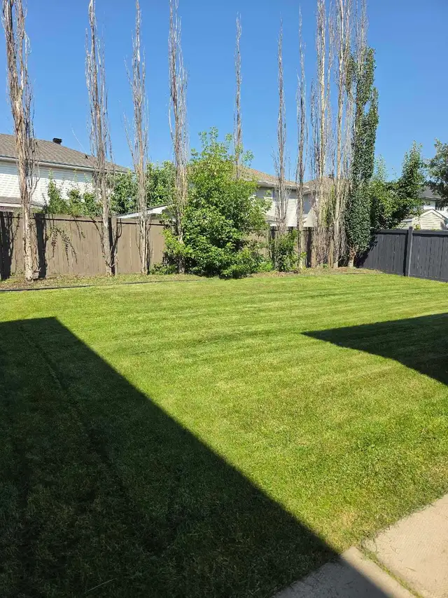 Junk Removal/Landscaping 525757186929469441