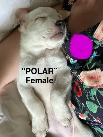Only 2 females and 4 males left! Please have some courtesy and respect that everything goes into the...