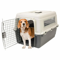 Essentials Plastic 26" Pet Carrier