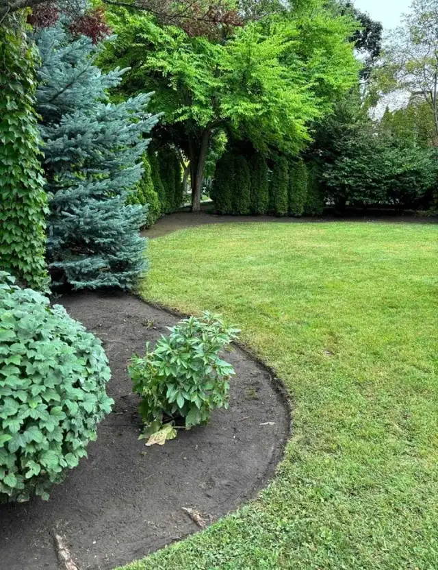 Toronto & GTA Landscaping | Lawn Care, Garden Services in Lawn, Tree Maintenance & Eavestrough in City of Toronto - Image 3