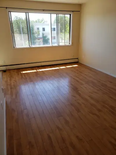 JUNE FREE! A cozy RENOVATED 1-bedroom suite on Whyte ave.
