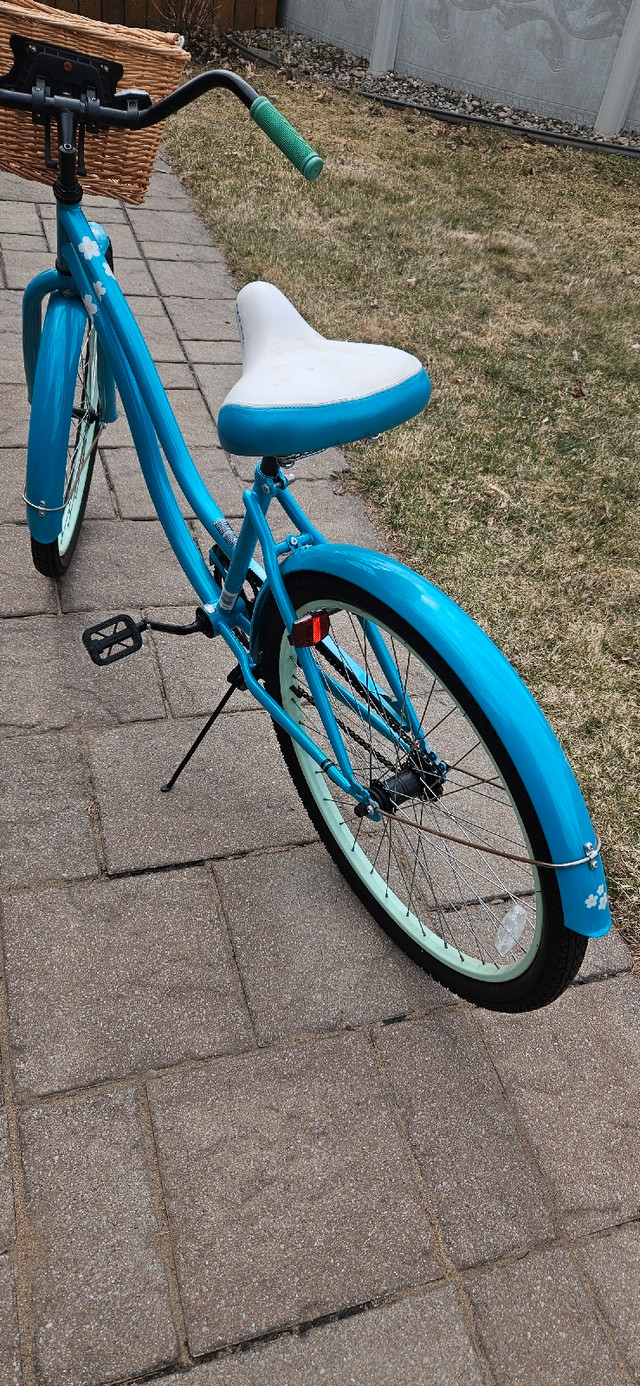Vélo Vintage  dans Randonnée, ville et hybrides  à Longueuil/Rive Sud - Image 4