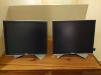 Dell monitors 