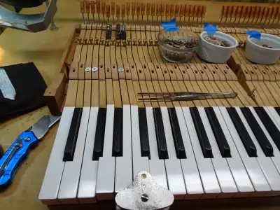 Piano Tuning, View more